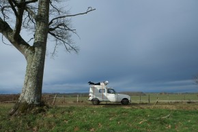 Rencontre découverte de l'exposition
Collection en mouvement - Une mue de nuage