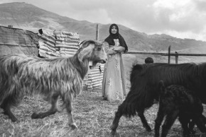 Temporary Land de Thibault Lefébure