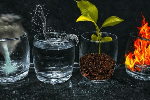 Mes premiers pas au musée - Dis-moi, c'est quoi les 4 éléments ?