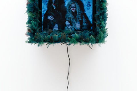 Chères créatures - exposition collections dans les murs