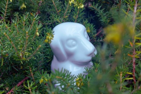 Mes premiers pas au musée - Mon merveilleux jardin de porcelaine