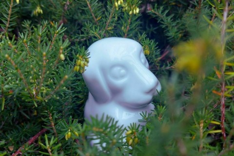 Mes premiers pas au musée - Un merveilleux jardin de porcelaine