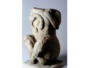 Agrandir l'image - fenêtre modale
